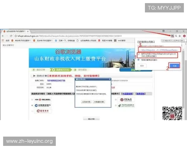 乐鱼电子登录流程详解，帮助新手玩家快速掌握登录步骤与常见问题解决方案